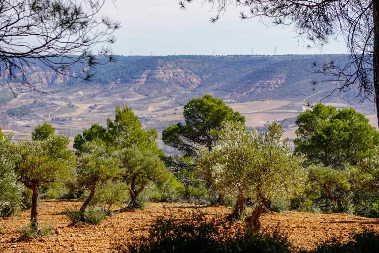 De Felipe Casa Rural Horche Екстериор снимка